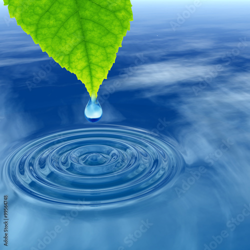 Green leaf with water drop and ripple