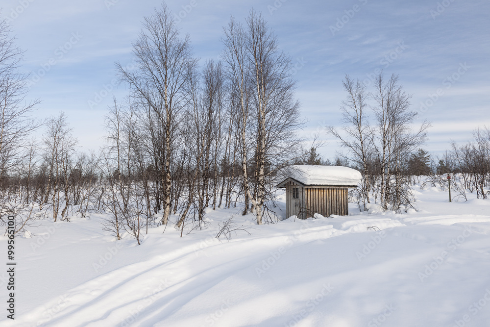 Log cabin in snowy forest