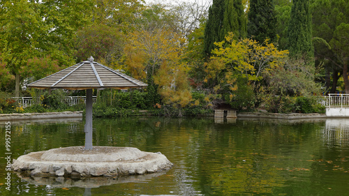 umbrella in the pond photo