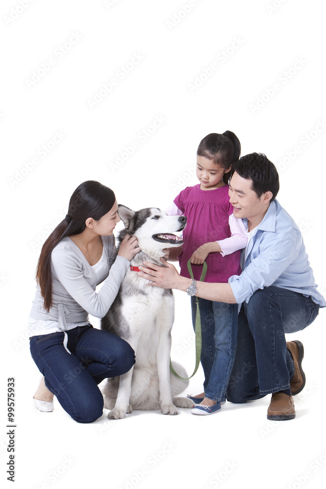 Fototapeta premium Family playing with a Husky dog