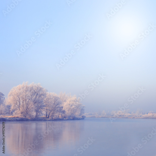 Snow covered trees, winter landscape