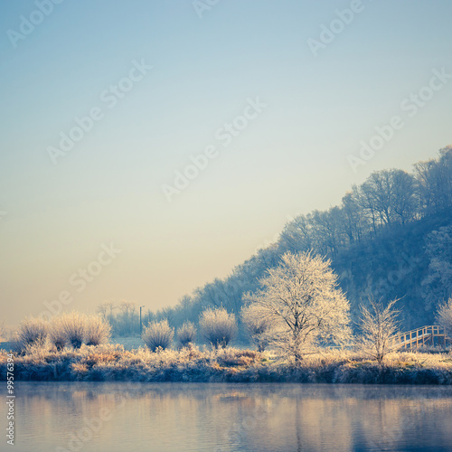 Snow covered trees, winter landscape
