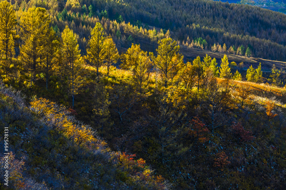 Natural Scenery of Aershan,China Natural Scenery of Aershan,China