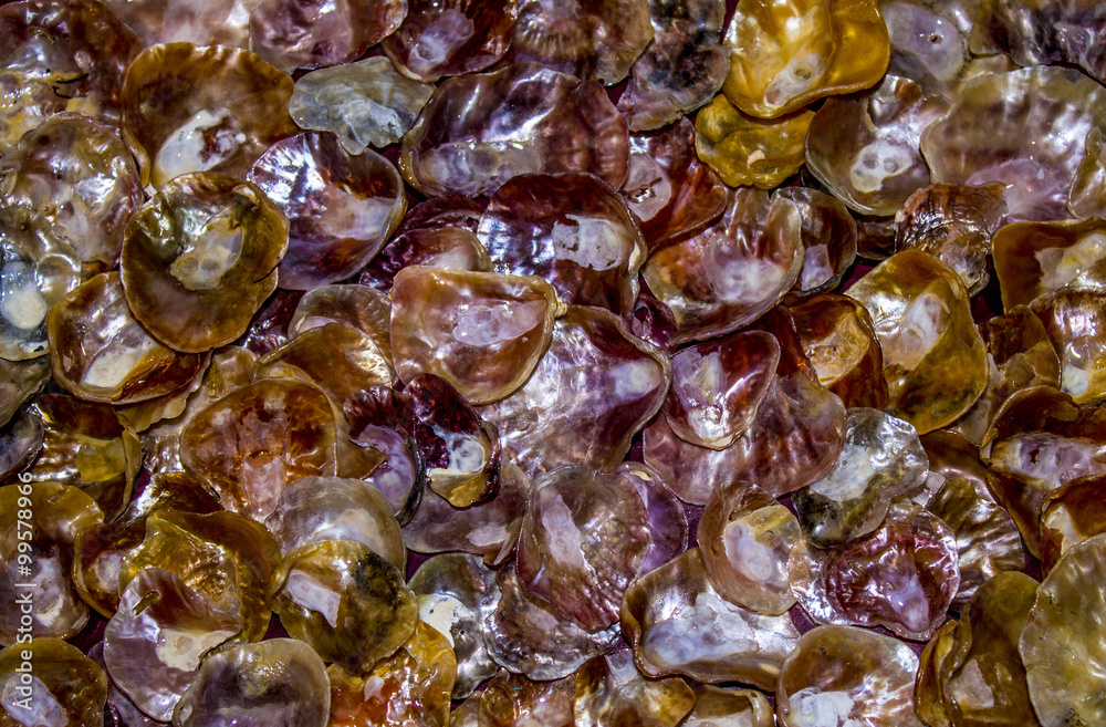 bright and colorful mother of pearl shell collection bright and colorful mother of pearl shell collection