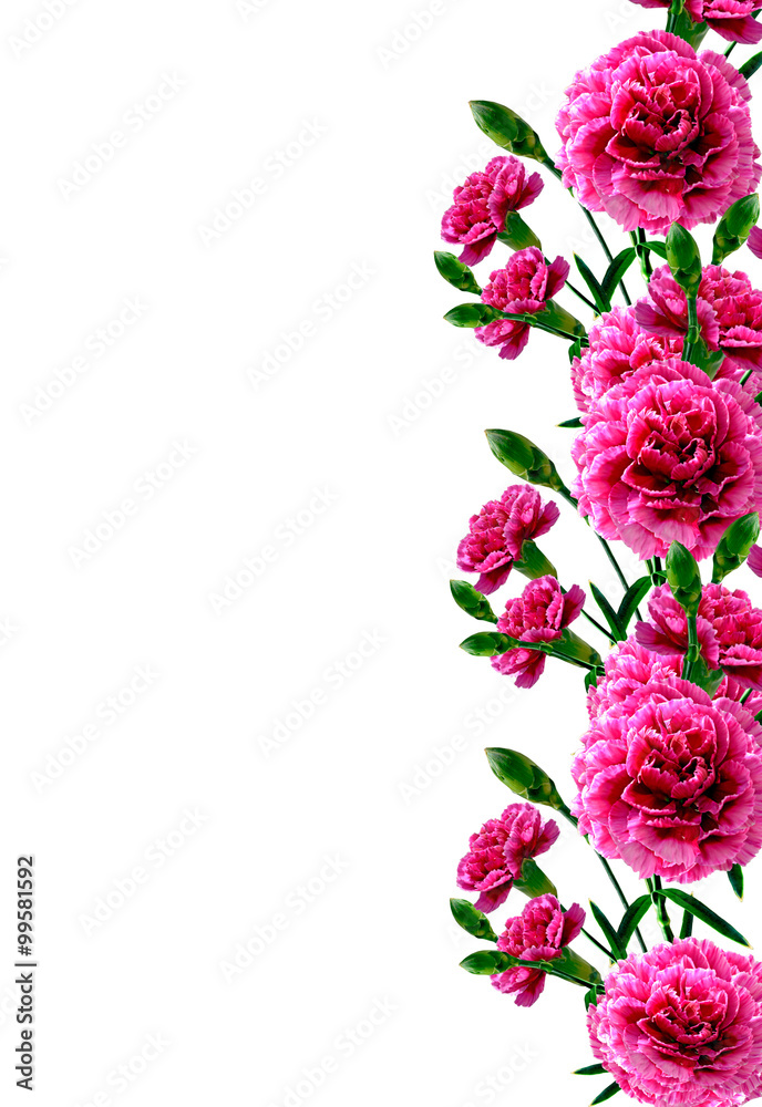 Bouquet of flowers carnation. Flowers isolated on white backgrou