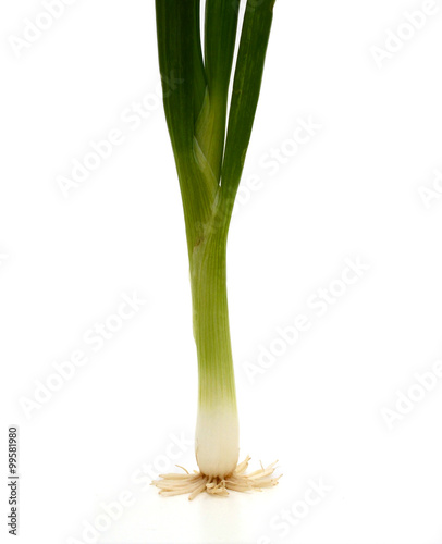 Spring onions also known as salad onions, green onions or scallions on the white background