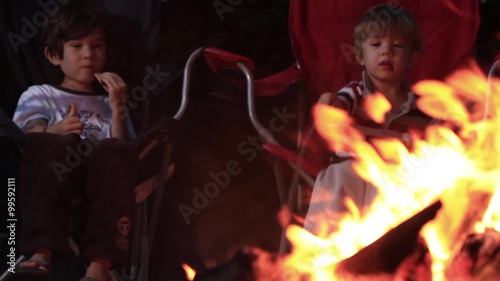 Two brothers having a campfire roasting marshmallows