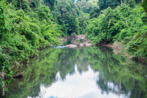 stream