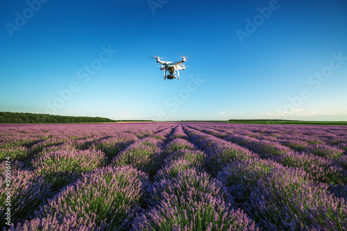 Fototapeta Naklejka Na Ścianę i Meble -  A personal drone flying over beautiful lavender field