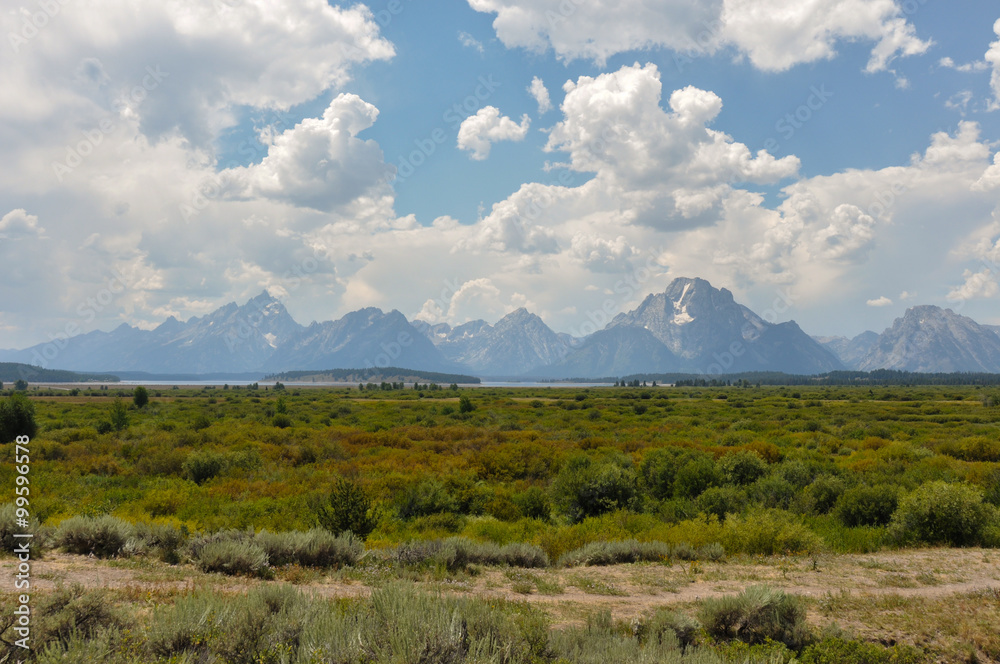 Fototapeta premium Grand Tetons National Park, Wyoming, USA