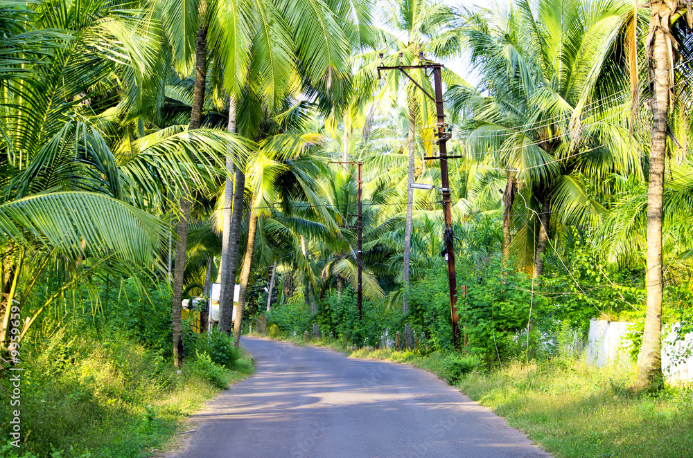 road in the village tropics the nature
