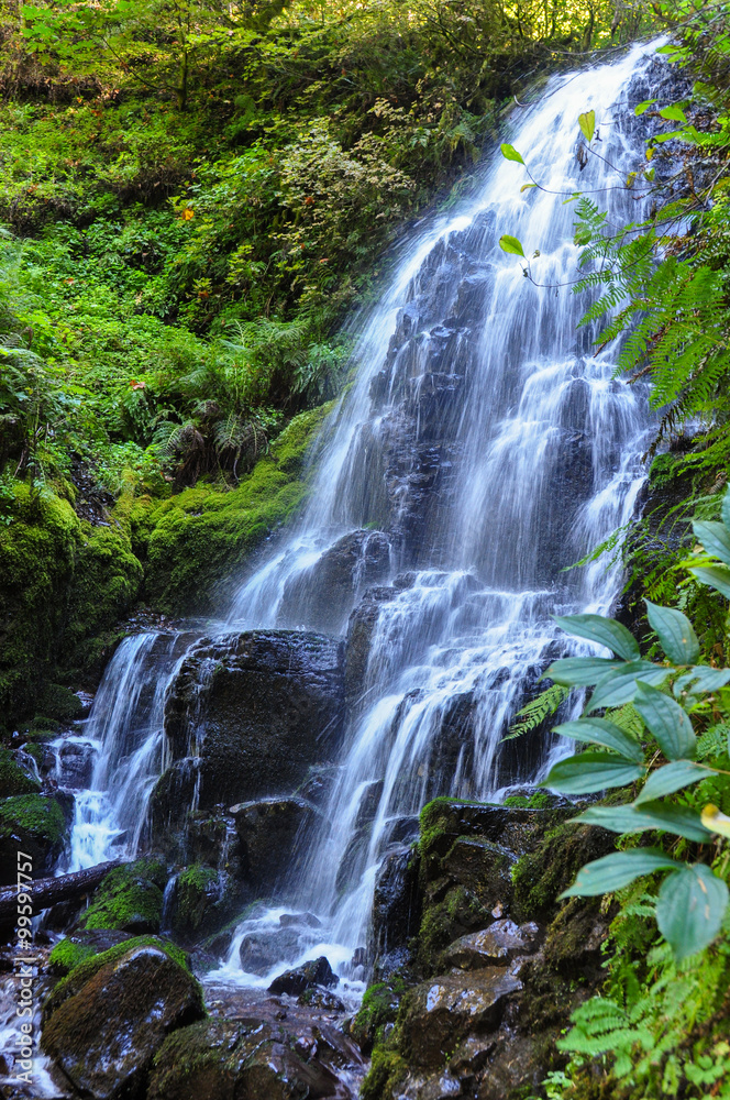 Fototapeta premium Waterfall near Multnomah Falls, Columbia River Gorge, Oregon, USA