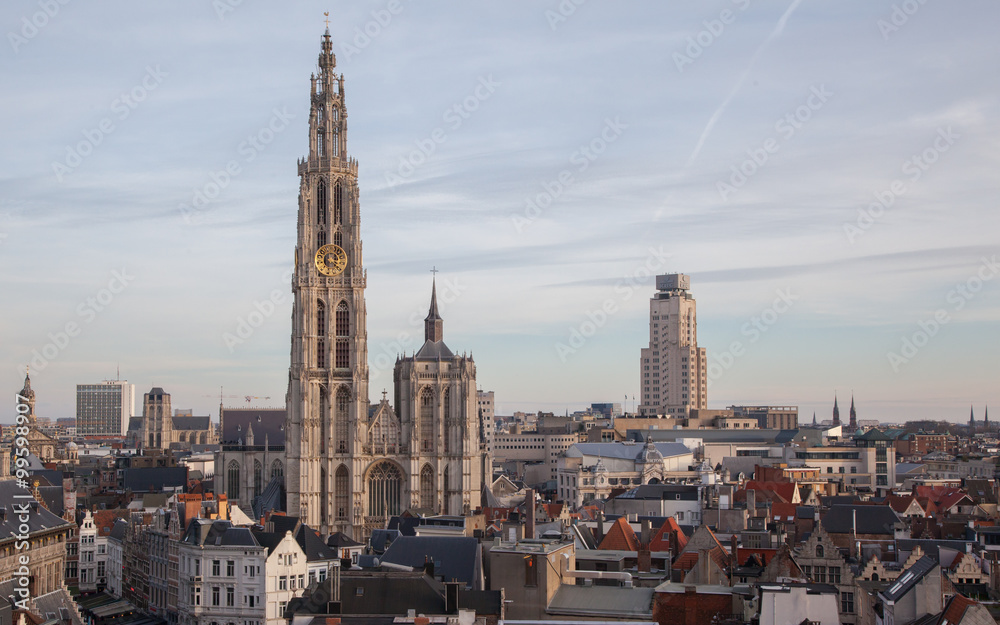 View over Antwerp with cathedral of our lady