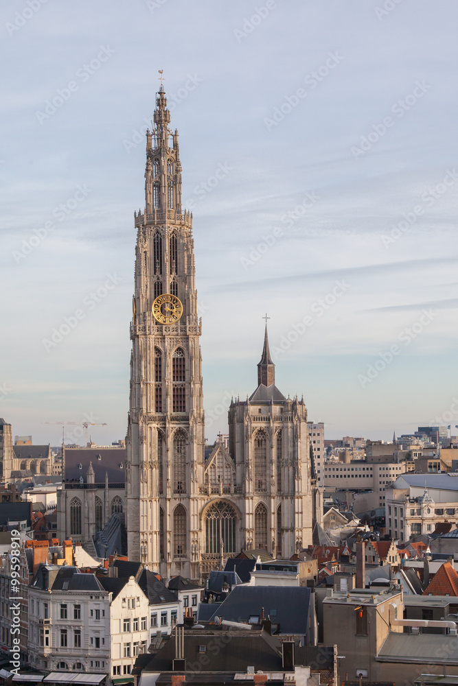 View over Antwerp with cathedral of our lady