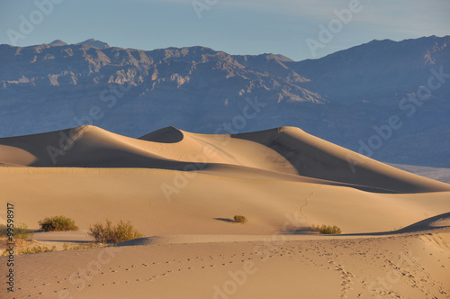 Sand dunes in Death Valley National Park  California  USA