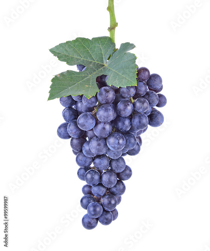 Blue grapes dry bunch isolated on white background
