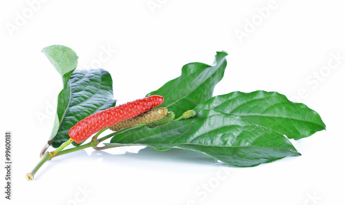 Long pepper isolated on the white background