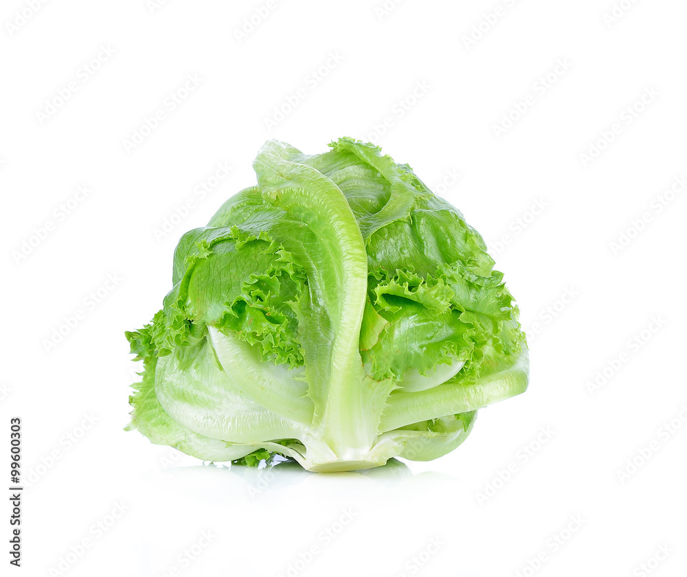 Green Iceberg lettuce on White Background Green Iceberg lettuce on White Background