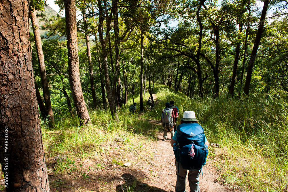 Naklejka premium Hiker with backpack standing on top of a mountain