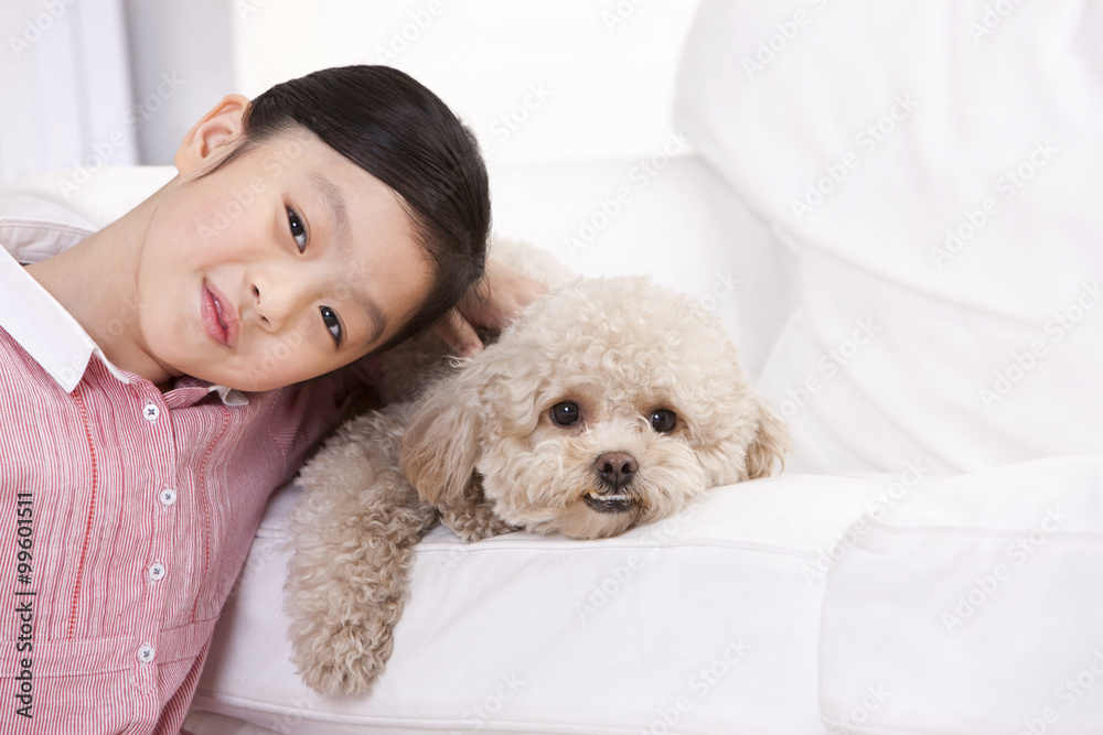 Little girl playing with a pet toy poodle Little girl playing with a pet toy poodle