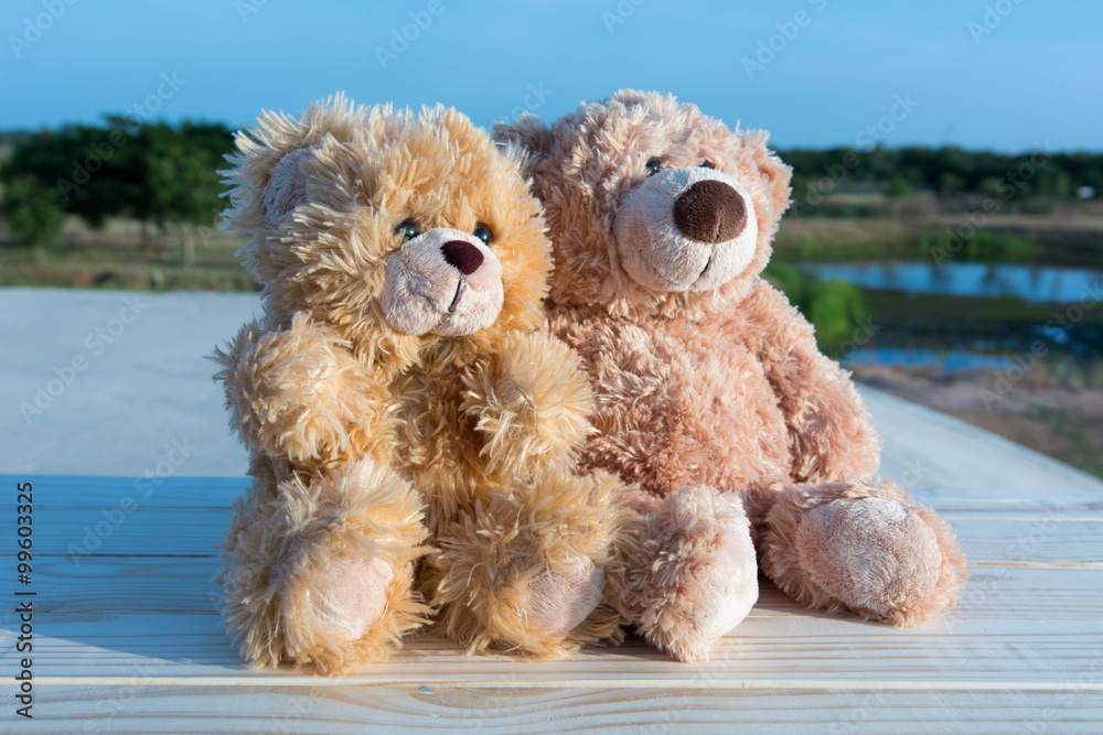 Teddy bears watching sunrise Teddy bears watching sunrise