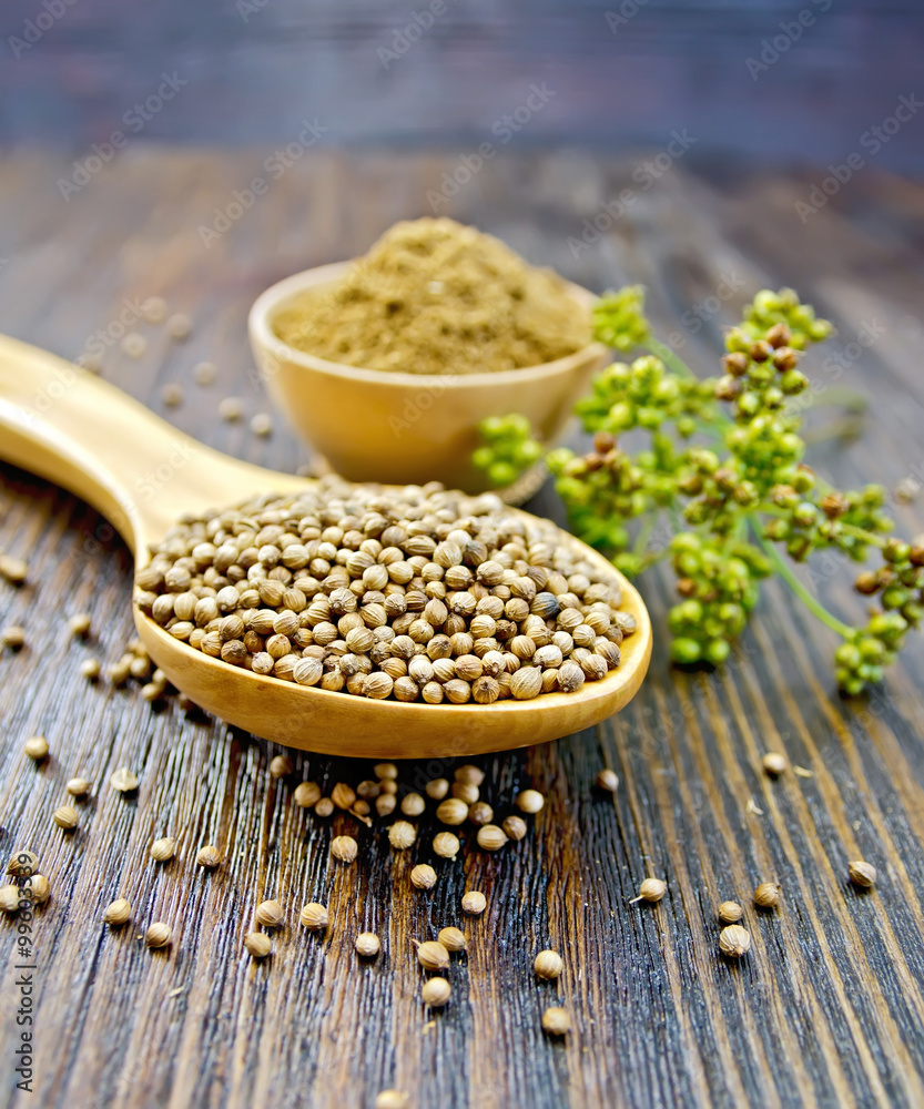 Coriander in bowl and spoon on board Coriander in bowl and spoon on board