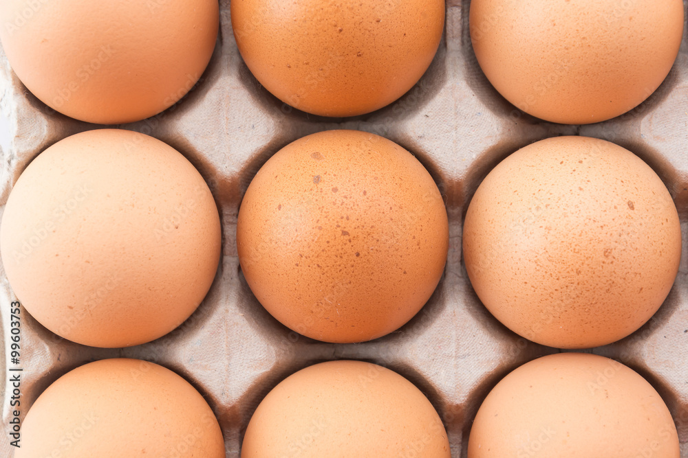 hen eggs hen eggs