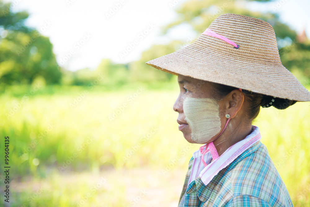 Traditional mature Myanmar female farmer