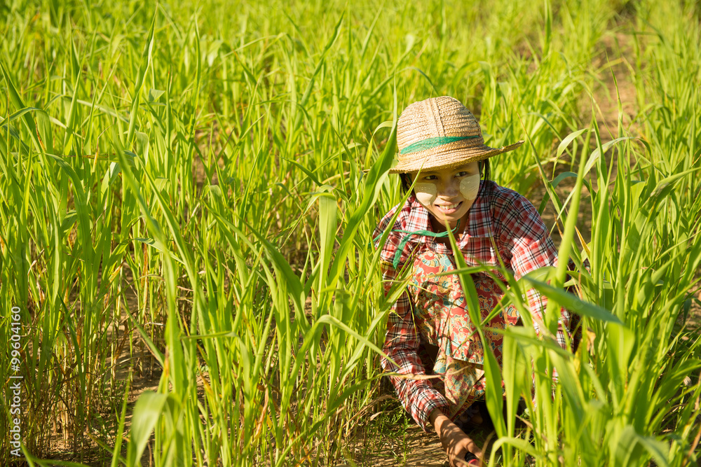 Traditional young Asian female farmer