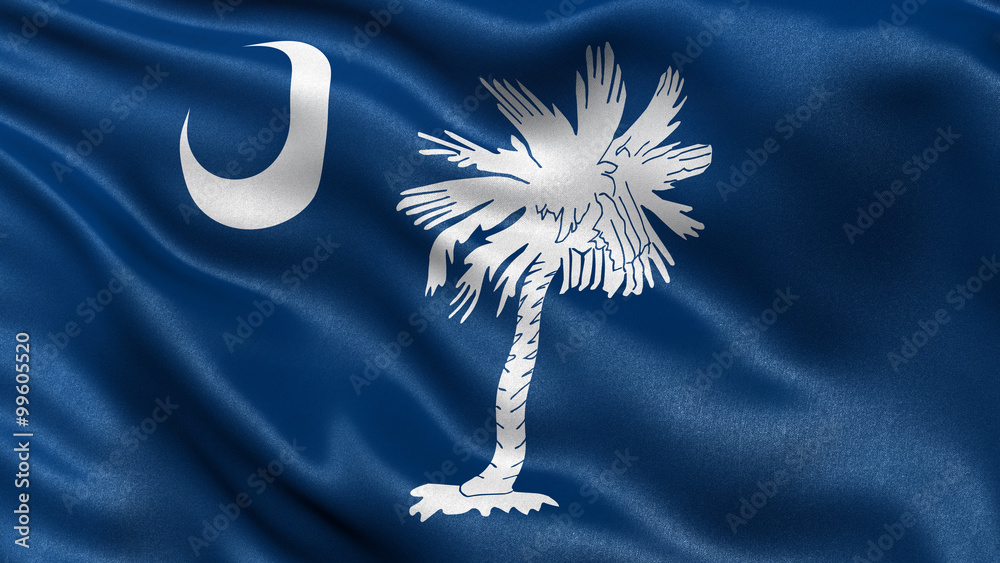 US state flag of South Carolina