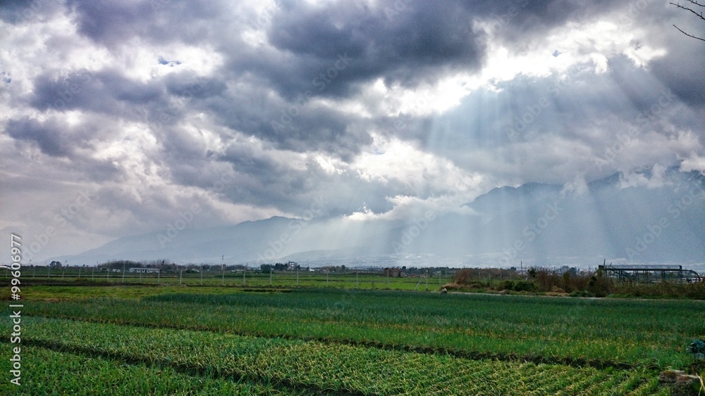 Farmland under overcast sky