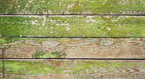 Green old painted wooden door texture as background