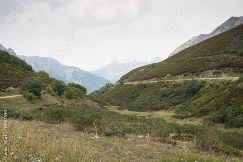 Heathlands in Saliencia Valley, Somiedo Nature Reserve. It is located in the central area of the Cantabrian Mountains in the Principality of Asturias in northern Spain