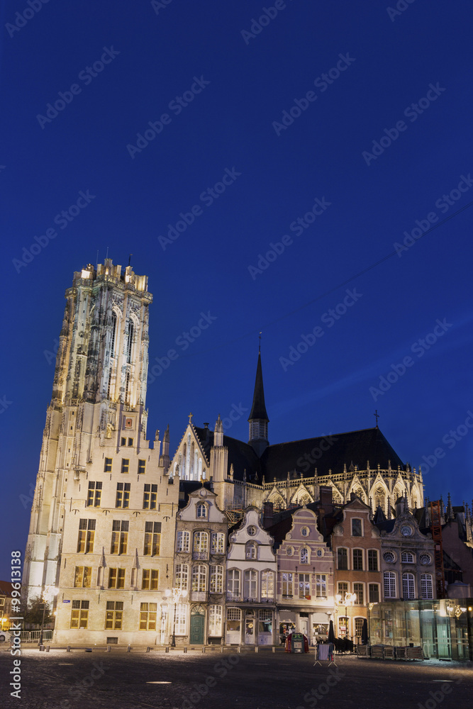 Fototapeta premium Saint Rumbold's Cathedral in Mechelen in Belgium