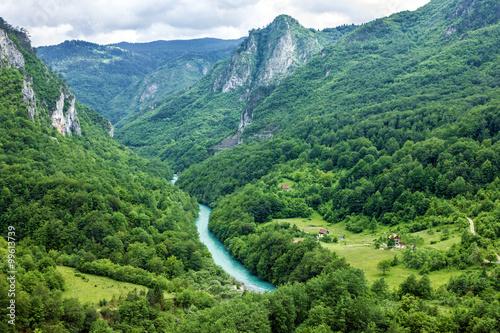 Green hills and mountain river. Natural landscape, Montenegro photo