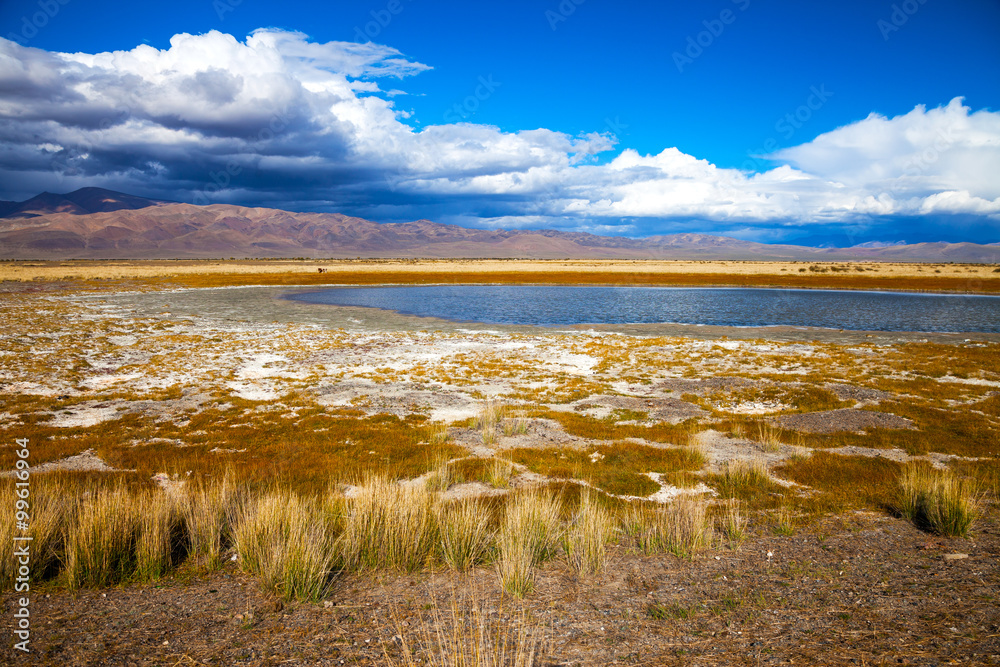 Lake in bright multi-colored steppe, mountains and blue sky in the background Lake in bright multi-colored steppe, mountains and blue sky in the background