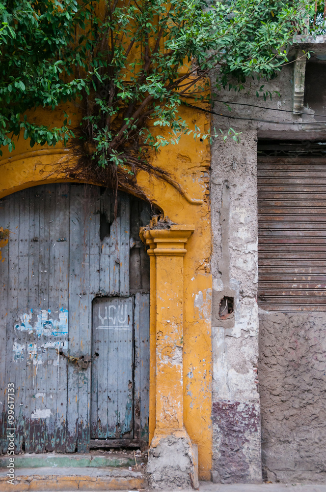 Fototapeta premium Entrance of yellow old colonial building with wood door and tree
