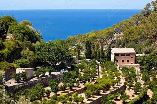 Terrases in Banyalbufar in Mallorca photo