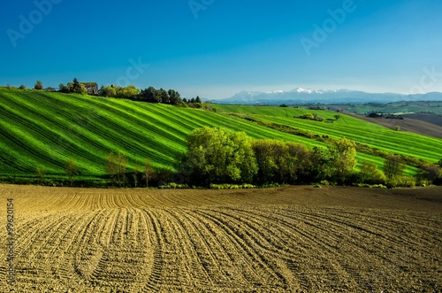 Le Colline