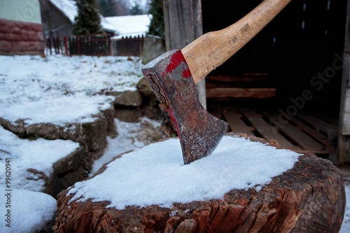 Felling Single Bladed Axe in Trunk photo