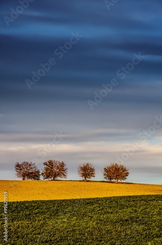 Colline e Colori