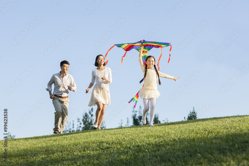 Cheerful young family flying a kite in a park Cheerful young family flying a kite in a park
