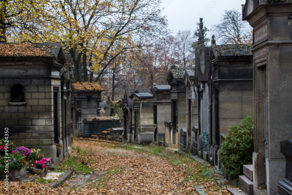 cemetery in the autumn season 