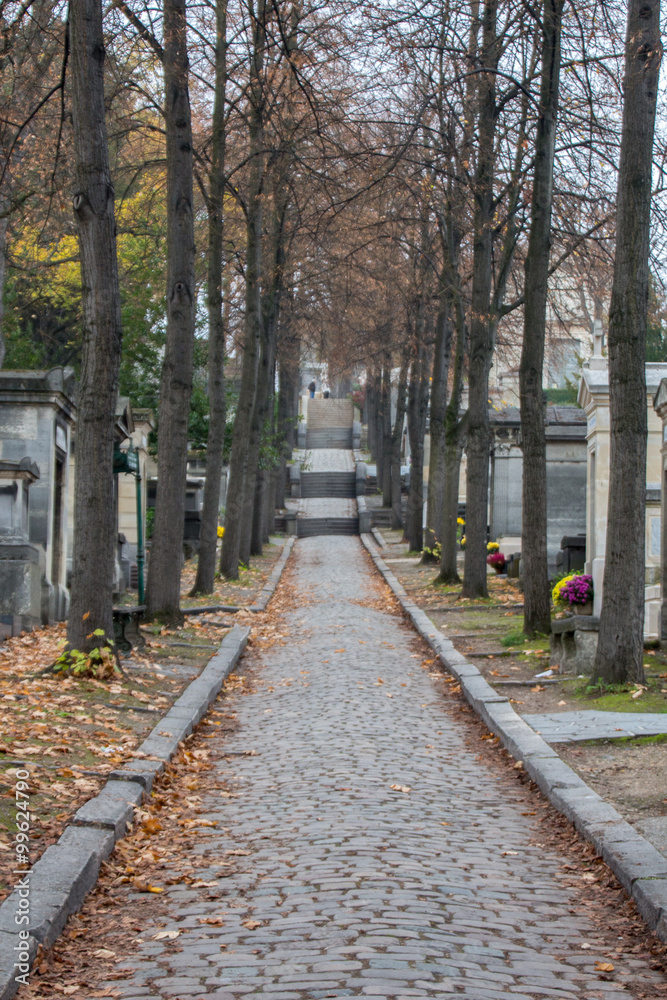 Fototapeta premium road the cemetery 
