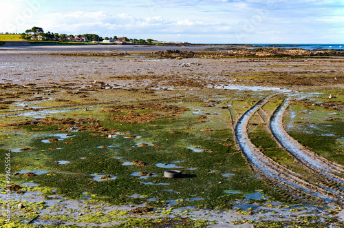 Colorful  ground during low tide at the shore of Ards peninsula in Northern Ireland in sunset light photo