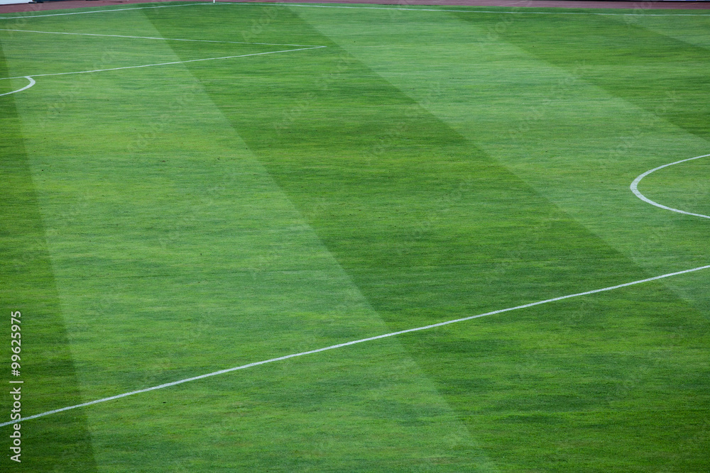 Close-up of striped pattern on grassy soccer field