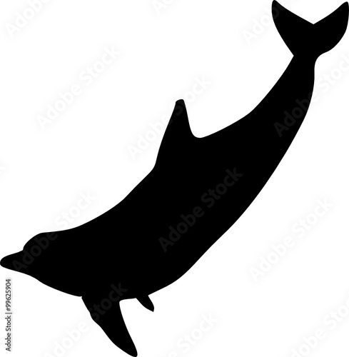 a dolphin 