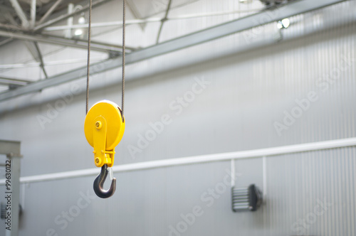 Crane hook