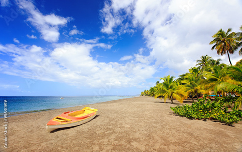 Experience Paradise: Exotic Beach Destination at Grande Anse Le Coin, Le Carbet in Martinique, Caribbean photo