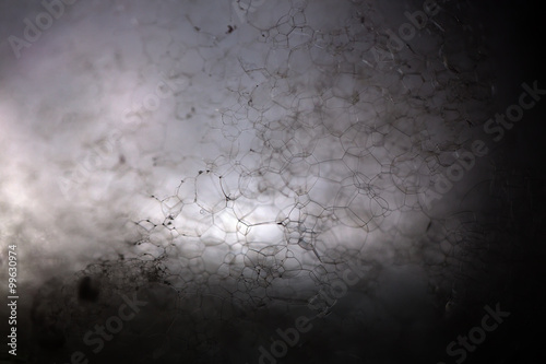 Chemical foam backdrop